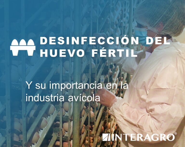 peste porcina africana interagro