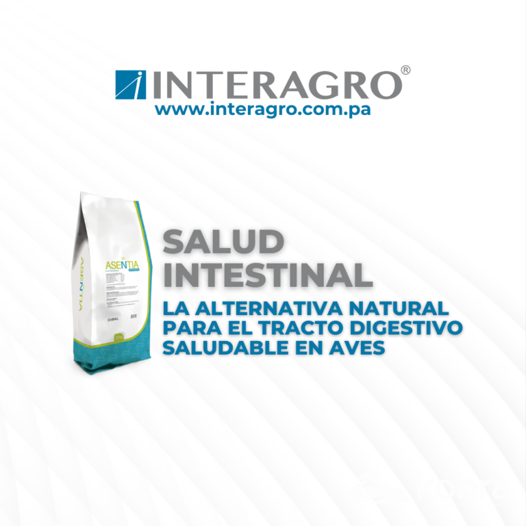 Salud intestinal en aves