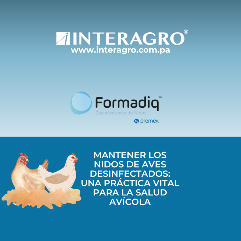 DESINFECCION DE NIDOS REPRODUCTORAS LIVIANAS Y PESADAS - FORMADIQ