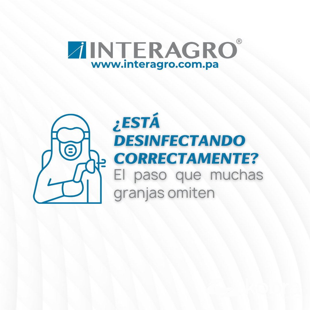 ¿Está desinfectando correctamente El paso que muchas granjas omiten